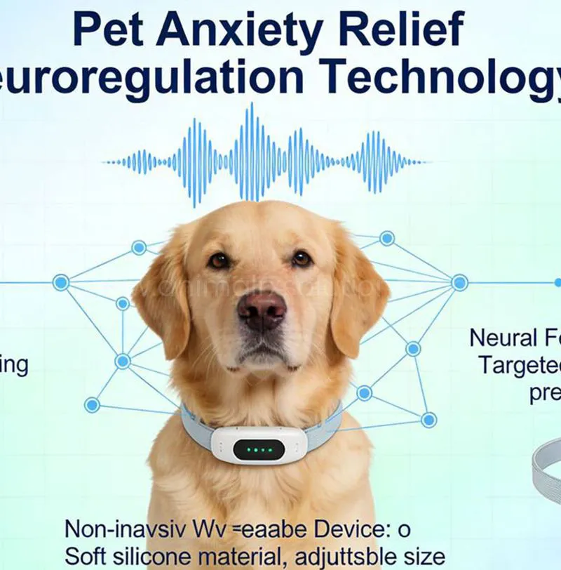 Behavioral & Mental Health